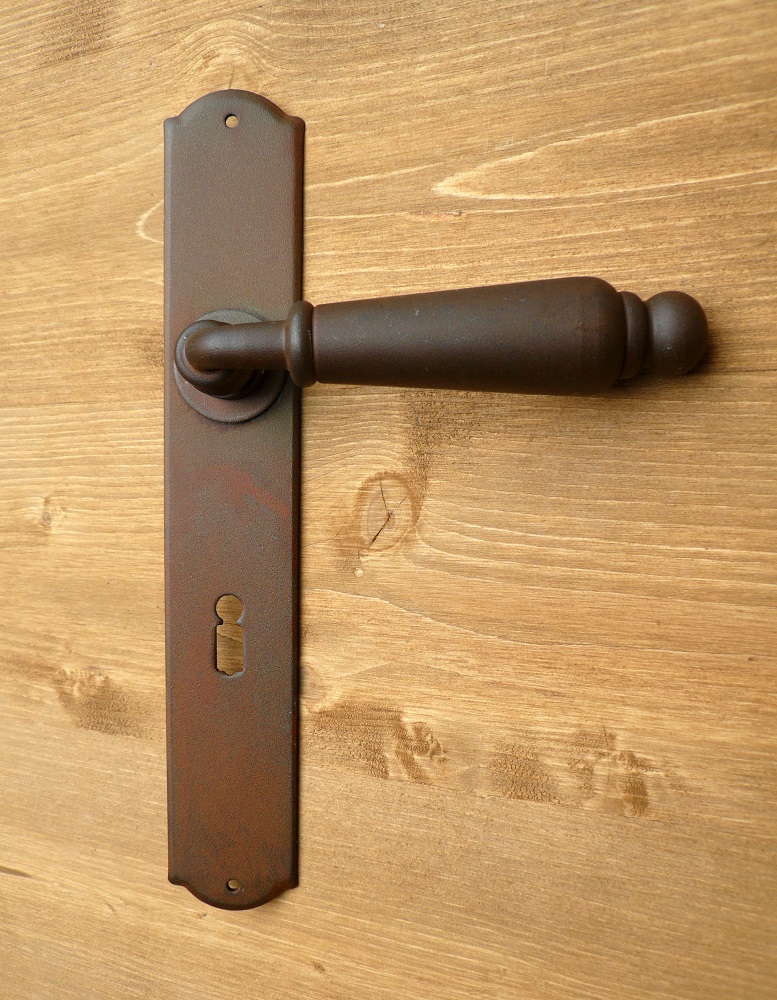 galbusera door handle with plate