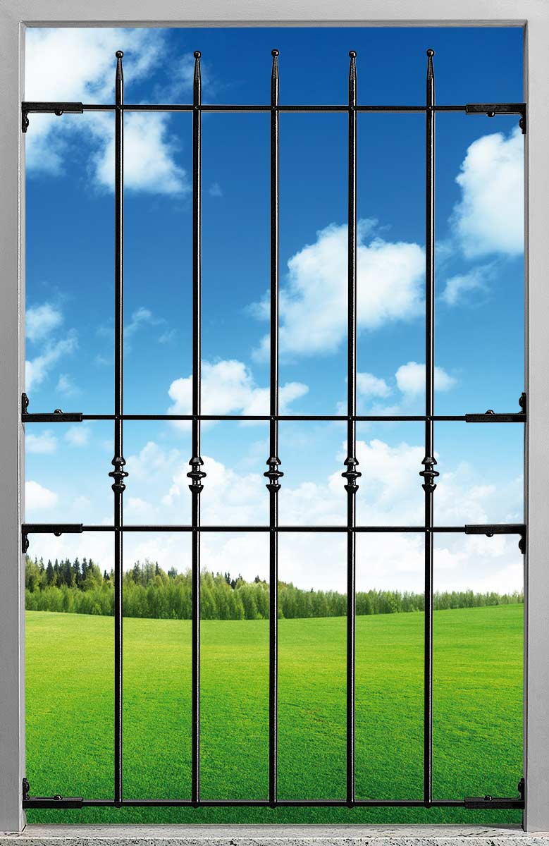 Window Railings - Blindy Grates - Online Prices