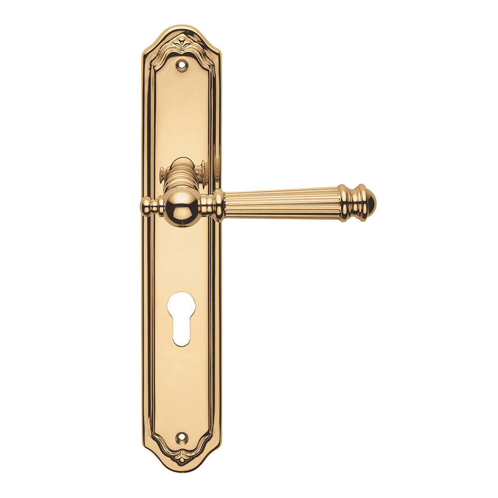 Fancy door best sale handles