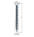 Window Repair Screw Different Measures 1000 Pieces Heicko