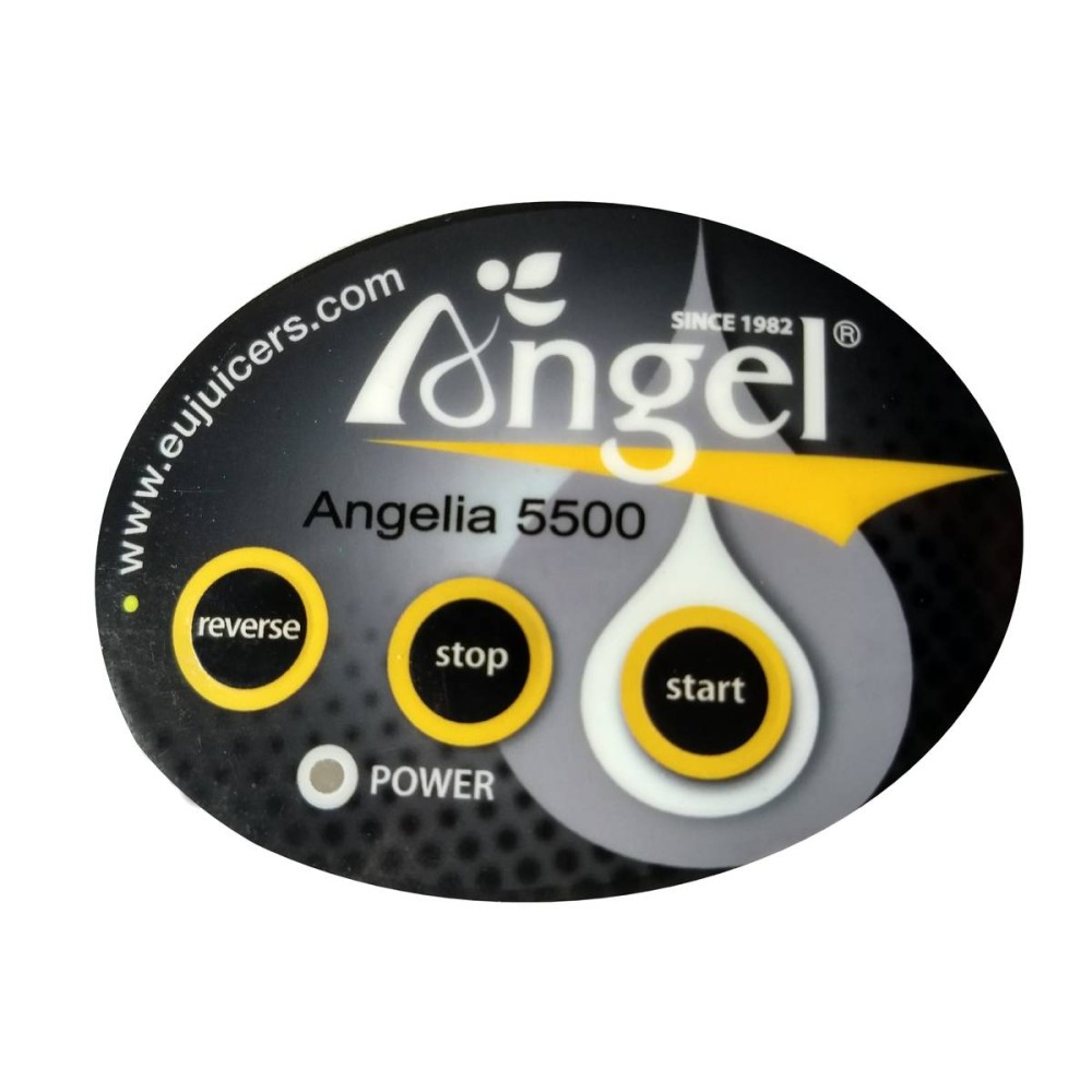 Angel Juicer 5500 Cold Juice Extractor