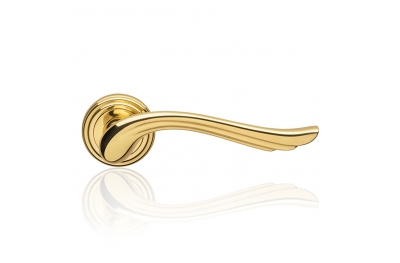 Aria Polished Brass Finish Door Handle With Rose Romantic and Dynamic Linea Calì Classic