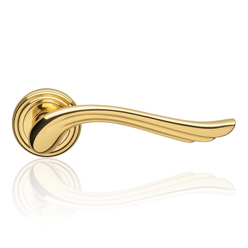 Aria Polished Brass Finish Door Handle With Rose Romantic and Dynamic Linea Calì Classic