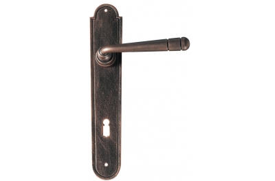 Bern Galbusera Door Handle with Plate