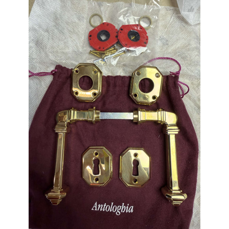 Busiri Antologhia Handle in Natural Brass for Elegant Home Door