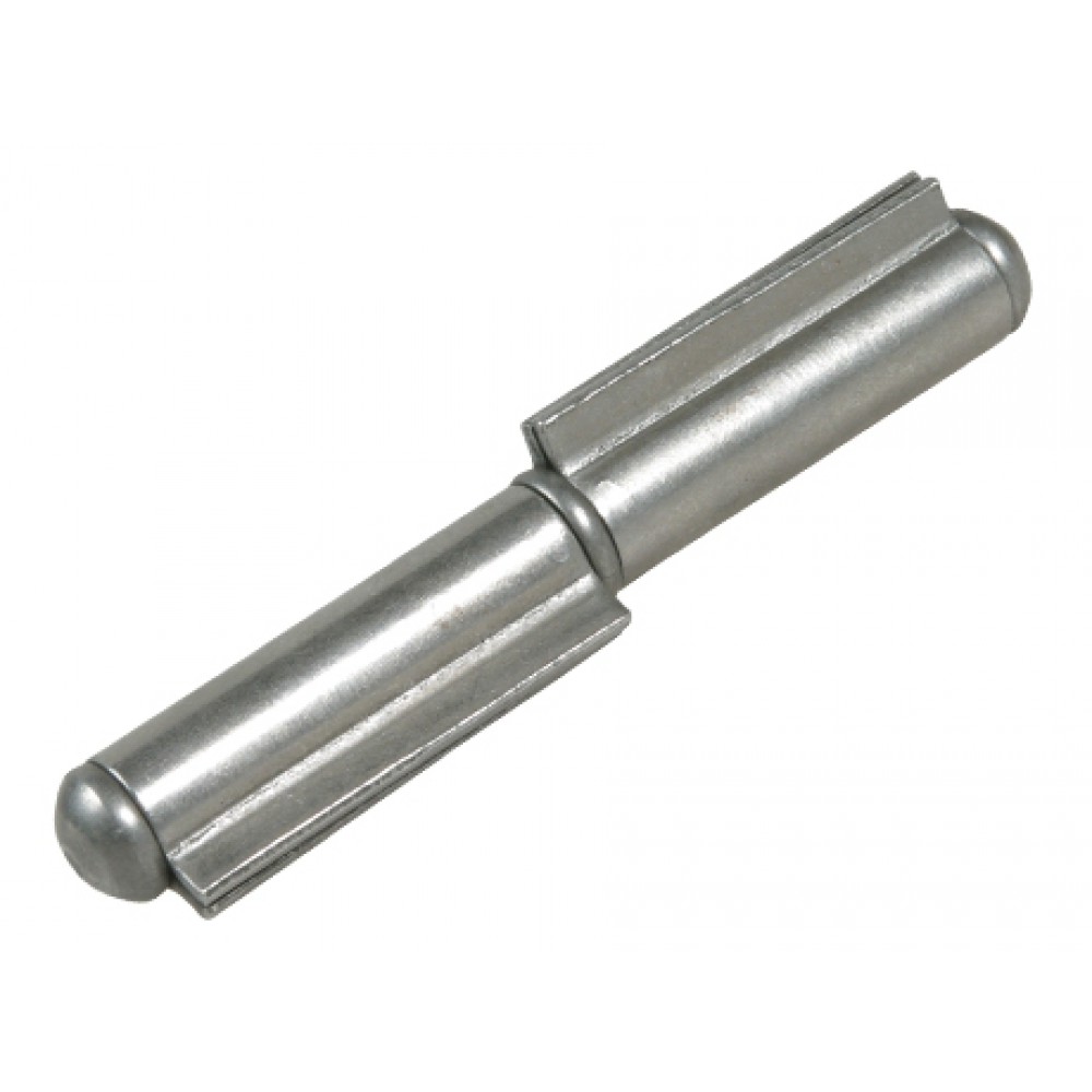 Plug Hinge with Fixed Pin to Be Welded