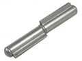 Plug Hinge with Fixed Pin to Be Welded Steel IBFM