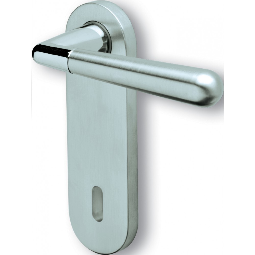 Pair of Ghidini Geneva Lever Handles with Plate