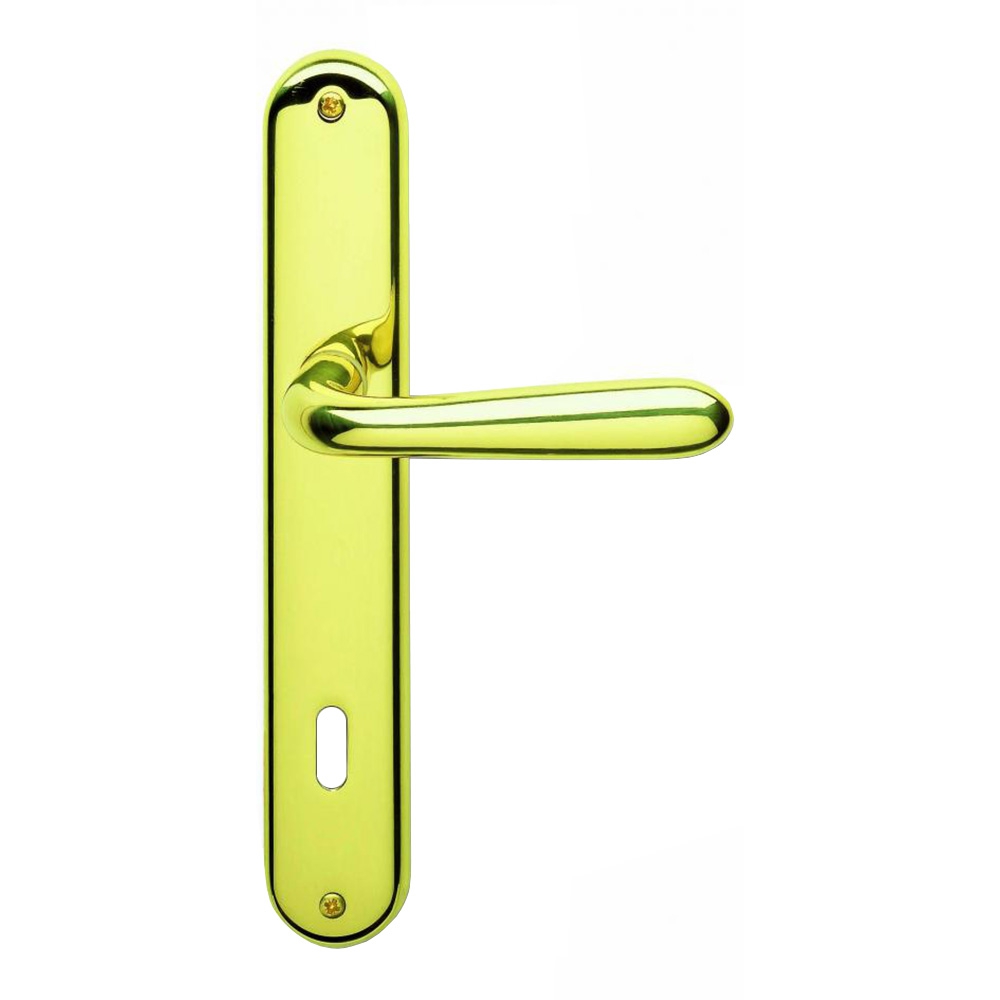 Pair of Lever Handles with Plate Ghidini Uno