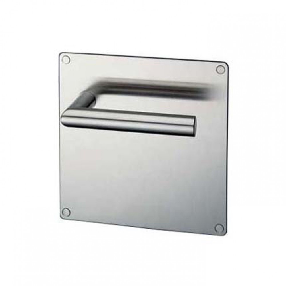 pba 2029/2001 Pair of Handles with Plate in Stainless Steel AISI 316L