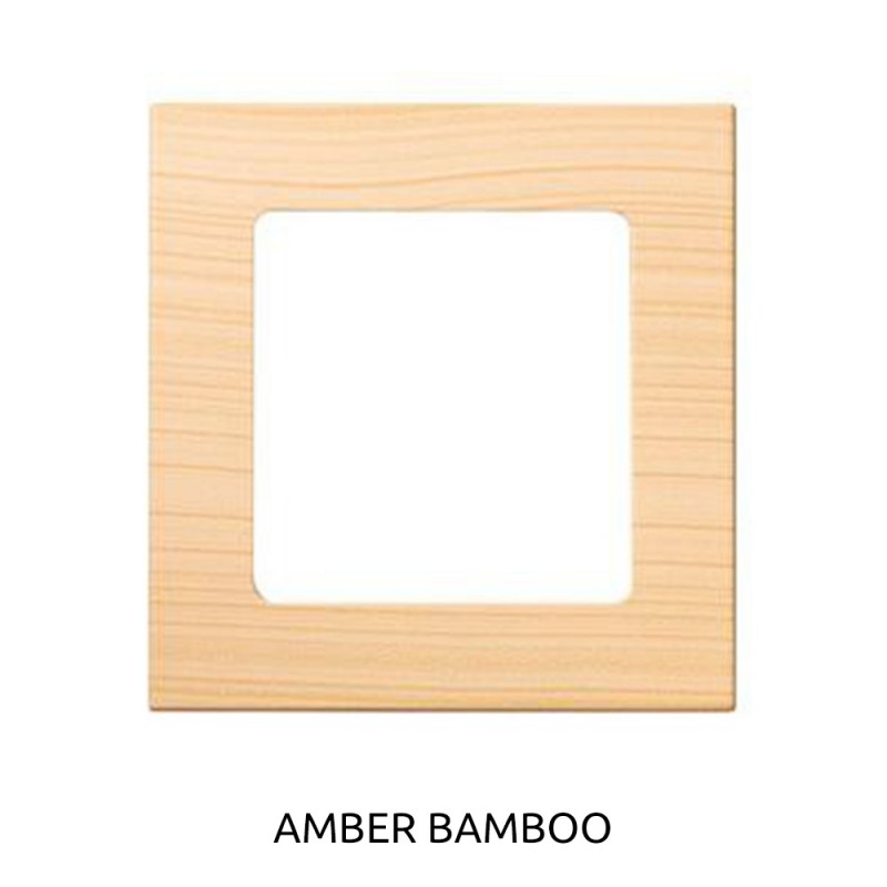 Frame for Smoove Somfy Control Modules Available in Many Colors