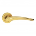 Dune Design Manital Polished Brass Pair of Door Lever Handles on Rose