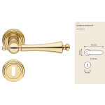 Heidi Linea Calì Italian Classic Brass Door Handle with Rosette