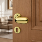 Idra Arieni Pair of Revolving Door Knobs in Brass with Ø45 mm Roses