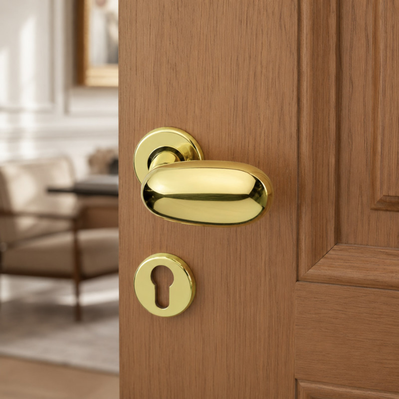 Idra Arieni Pair of Revolving Door Knobs in Brass with Ø45 mm Roses