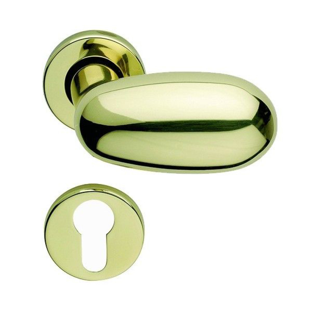 Idra Arieni Pair of Revolving Door Knobs in Brass with Ø45 mm Roses