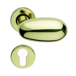 Idra Arieni Pair of Revolving Door Knobs in Brass with Ø45 mm Roses
