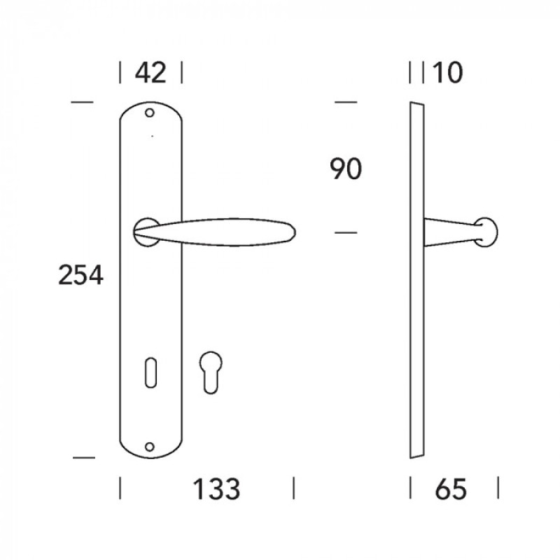 Handle on Door Plate in Brass Alise Reguitti