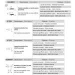 Zaira Reguitti Door Handle on Round Rosette Modern Design