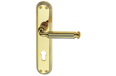 Meteor Classique PFS Pasini Brass Door Handle on Plate