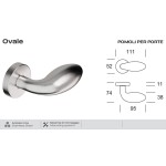Fixed Knob in Stainless Steel Oval 258 Reguitti