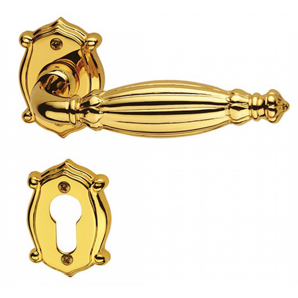 Queen Classique Pasini Brass Door Handle with Rosette and Escutcheon Plate