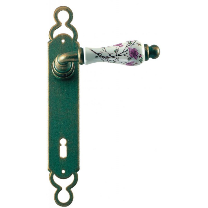 Wien Galbusera Door Handle with Plate